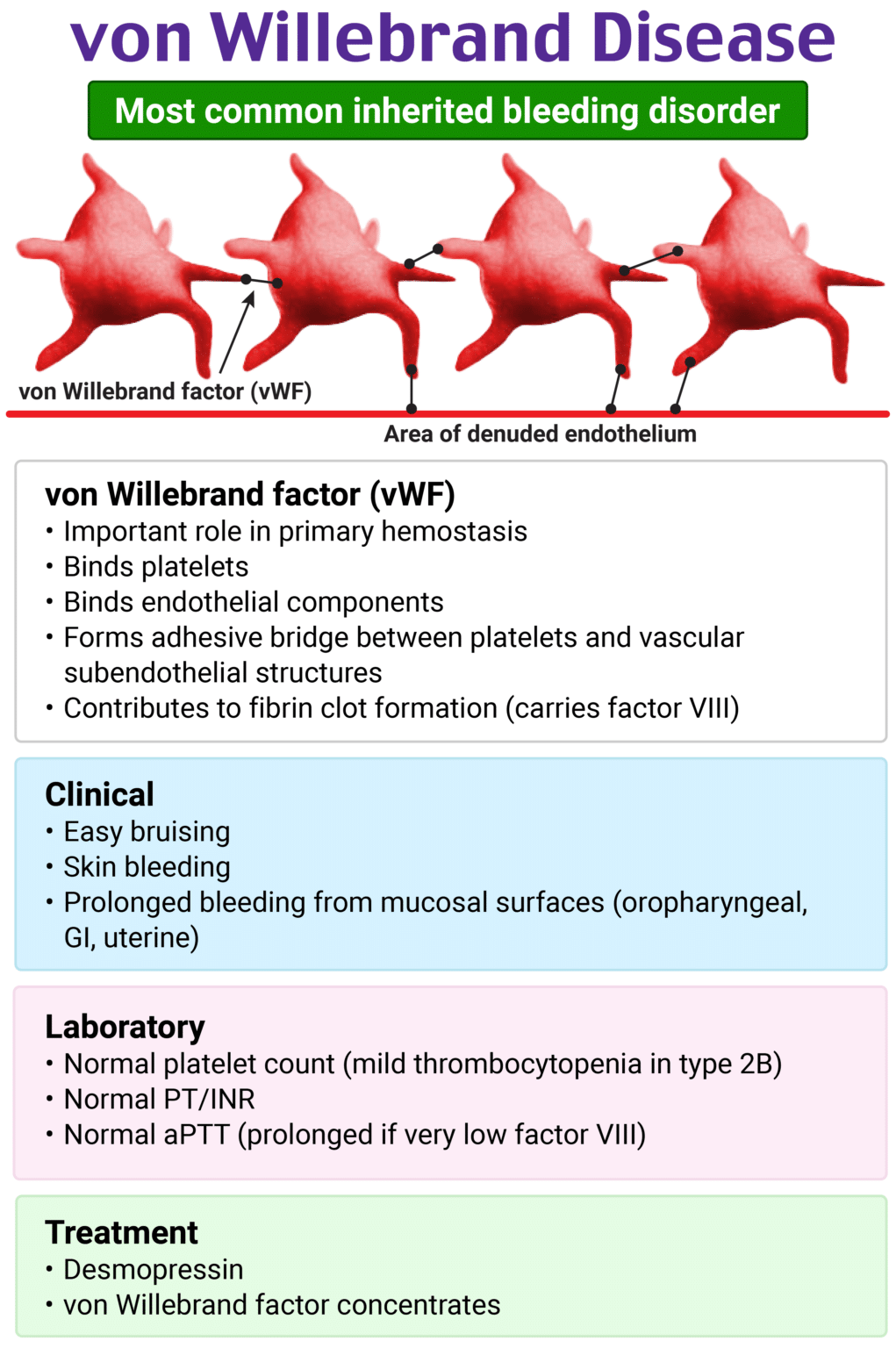 Rapid Review: Von Willebrand Disease - RoshReview.com