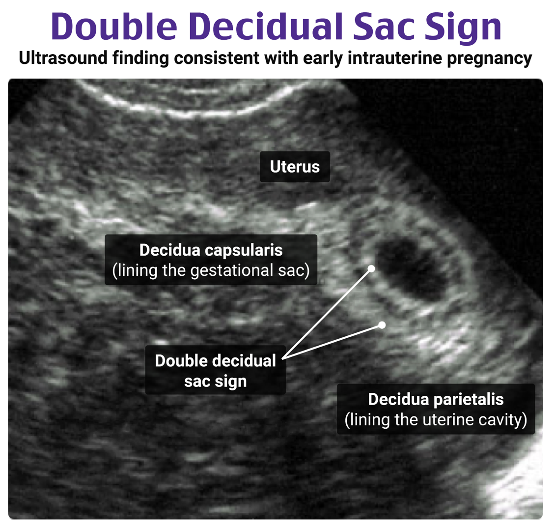 Expand your knowledge while focusing on 12 POCUS categories aligned with primary care curriculum guidelines